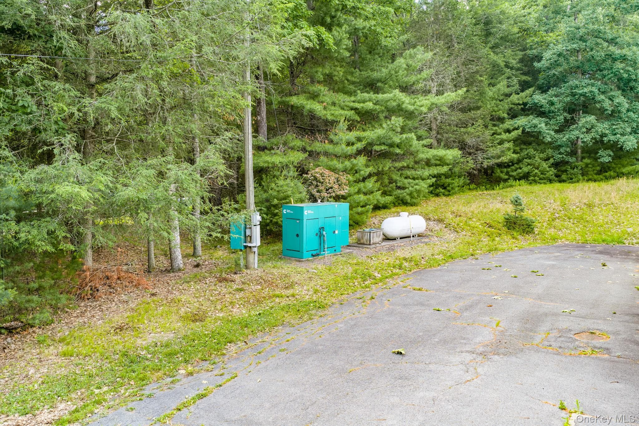 17 Collins Road thumbnail 33