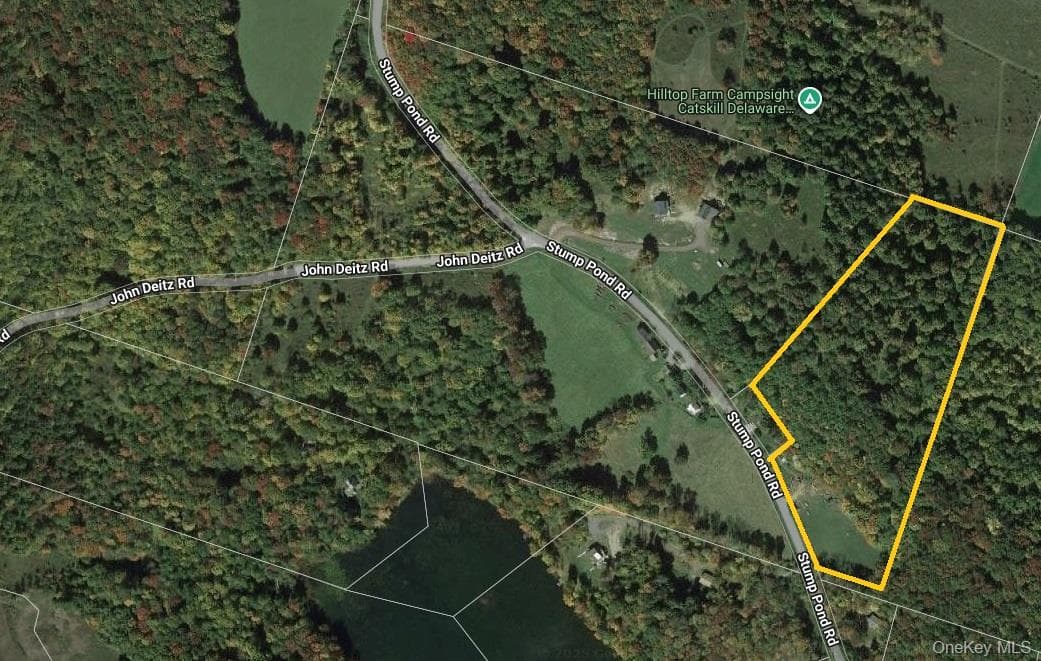 TBD Stump Pond Road, Livingston Manor