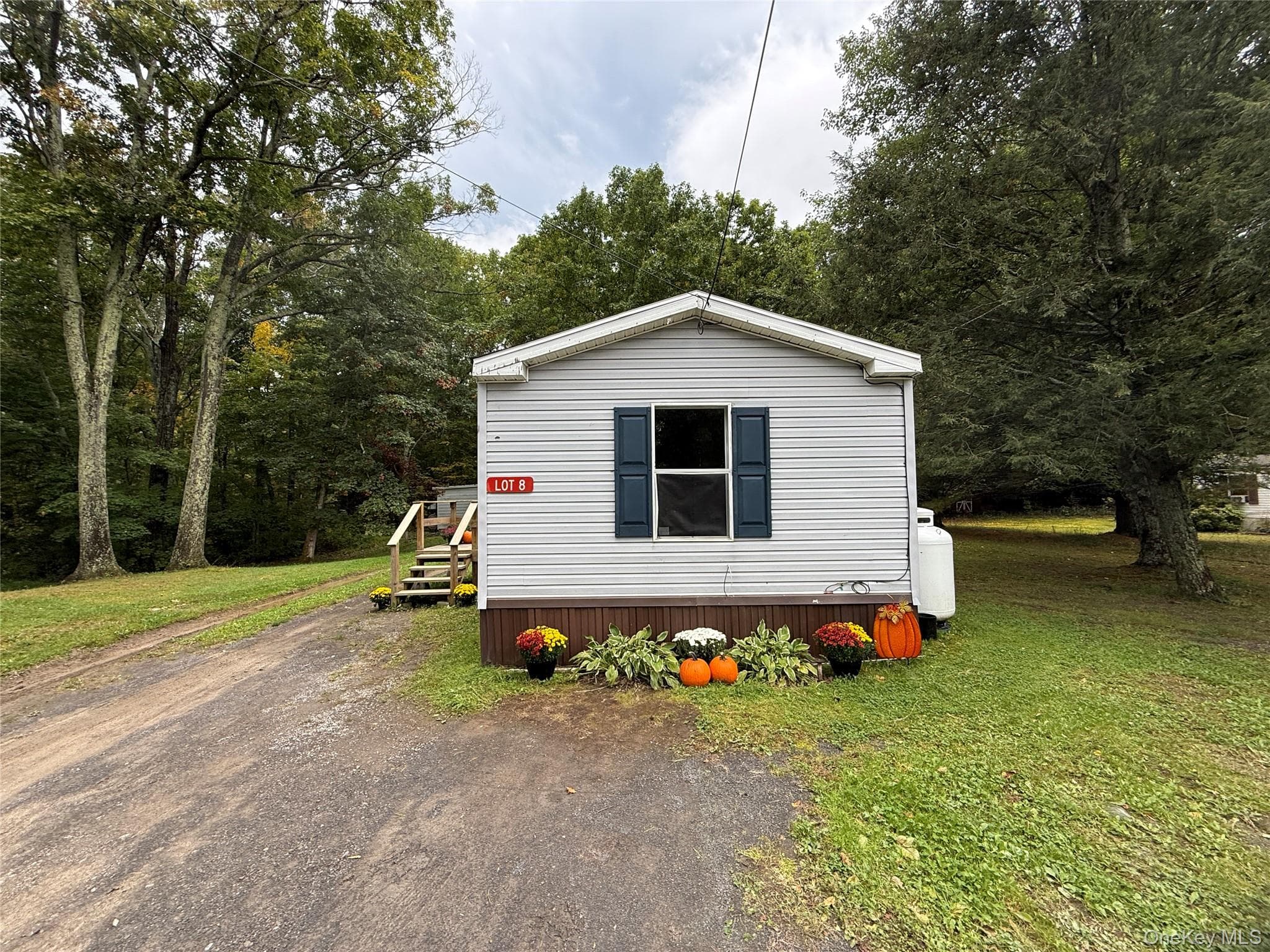 25 Fawn Road Unit: 8, Saugerties