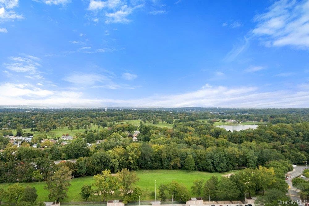27010 Grand Central Parkway Parkway Unit: 26K thumbnail 35