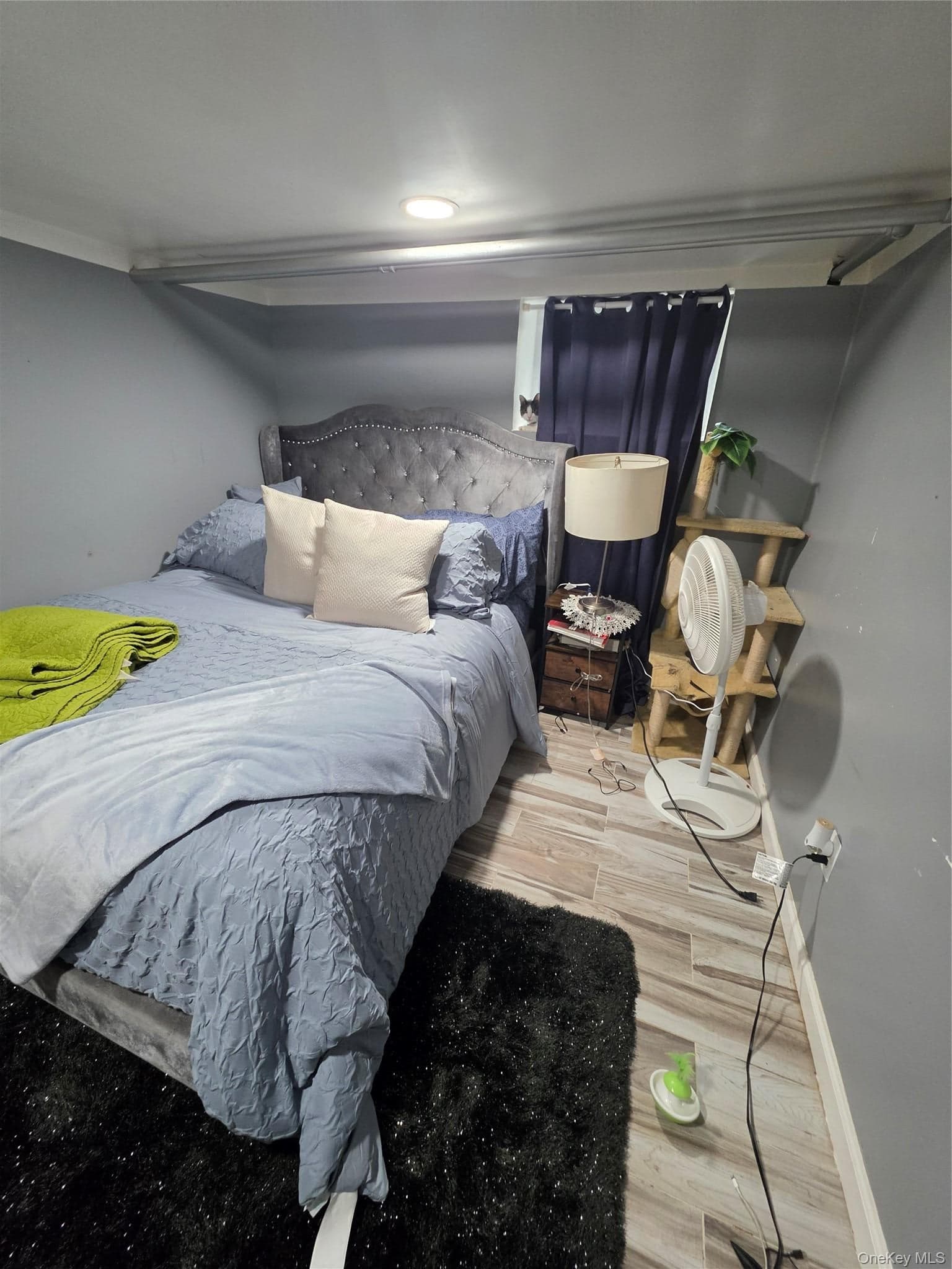 467 Atkins Avenue thumbnail 7