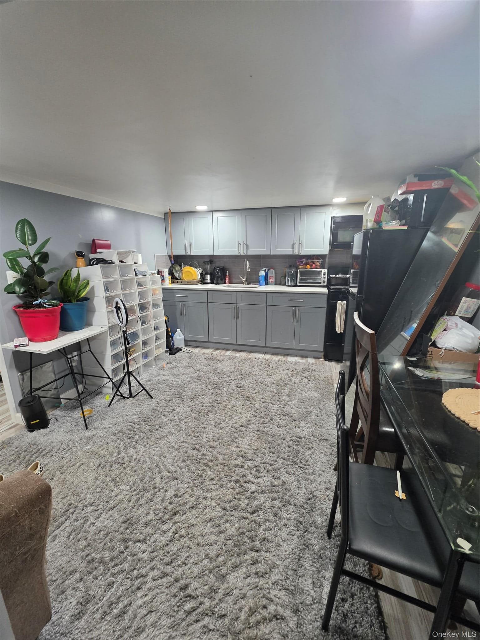 467 Atkins Avenue thumbnail 5