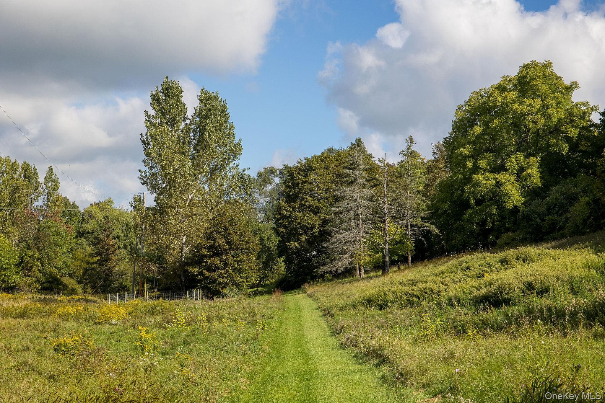 861 Snydertown Road thumbnail 3