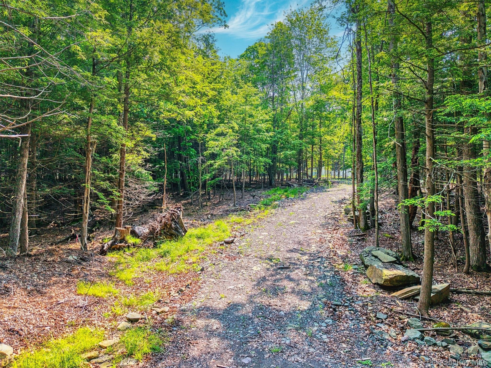 TBD Boulder Brook Lot 11 Road thumbnail 25