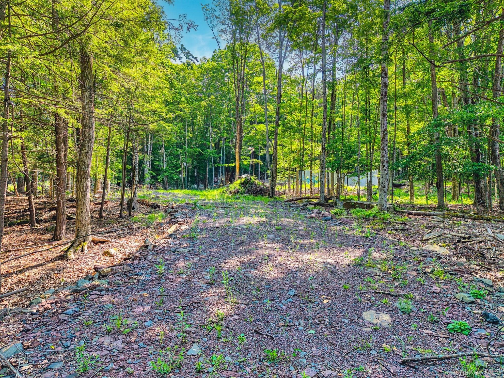 TBD Boulder Brook Lot 11 Road thumbnail 26