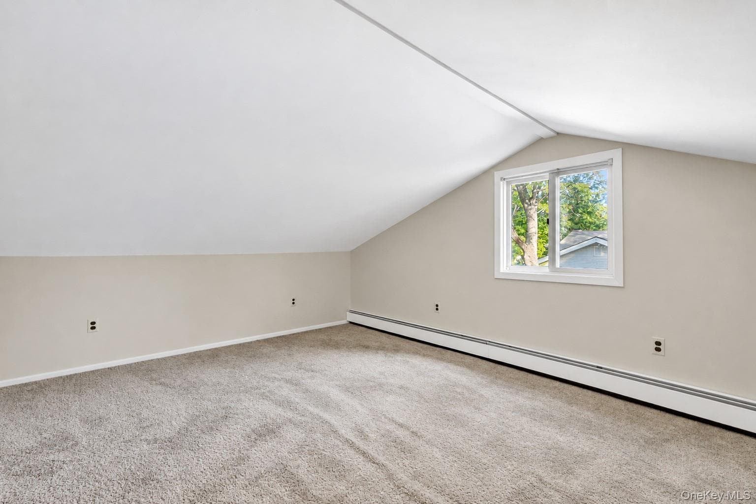 1012 Old Medford Avenue thumbnail 20