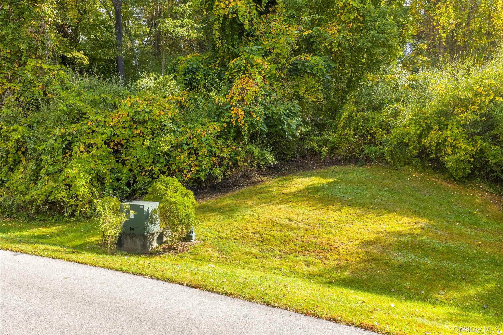 Lot 25 Brady Brook Farm Road thumbnail 10