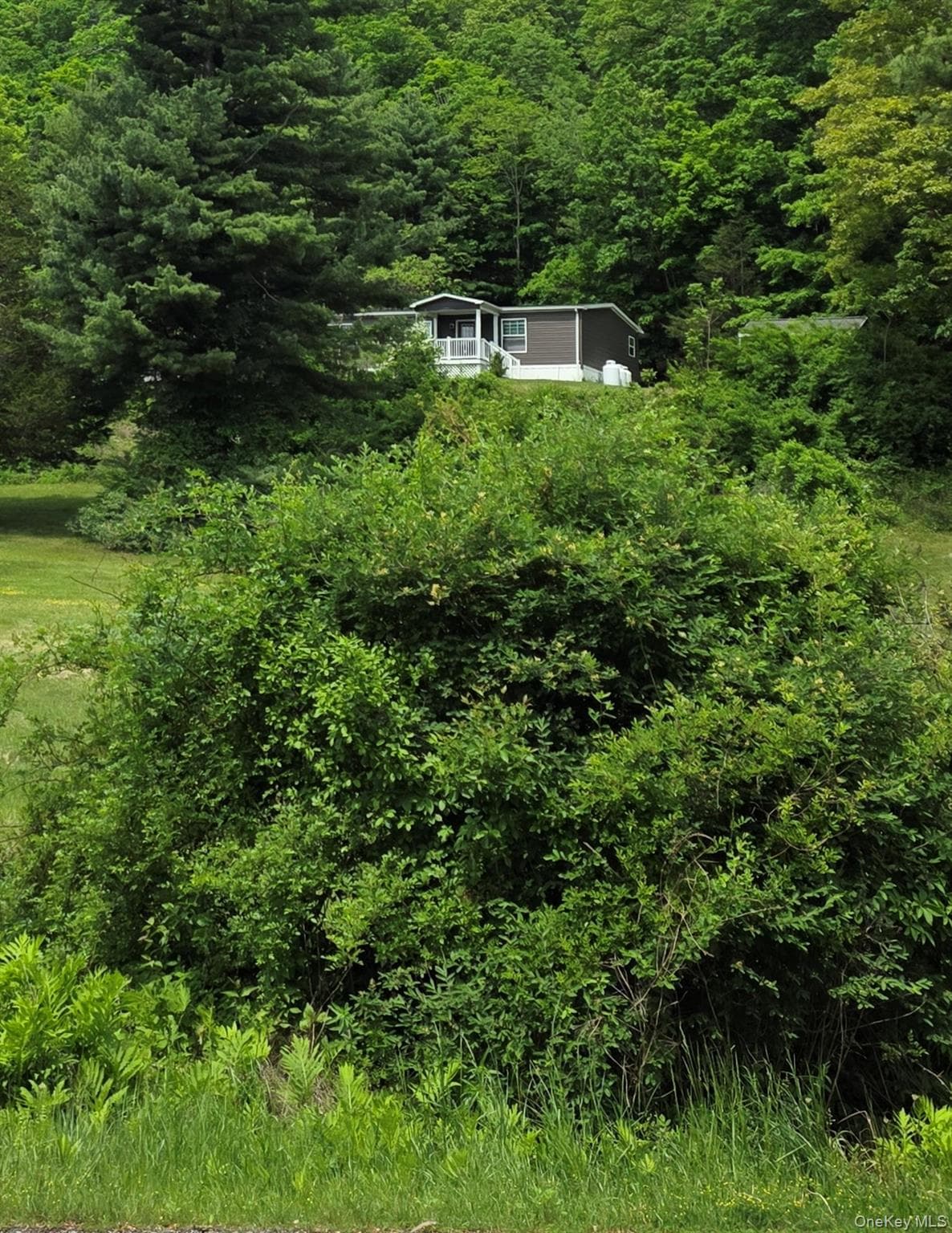 559 Lake Road thumbnail 4