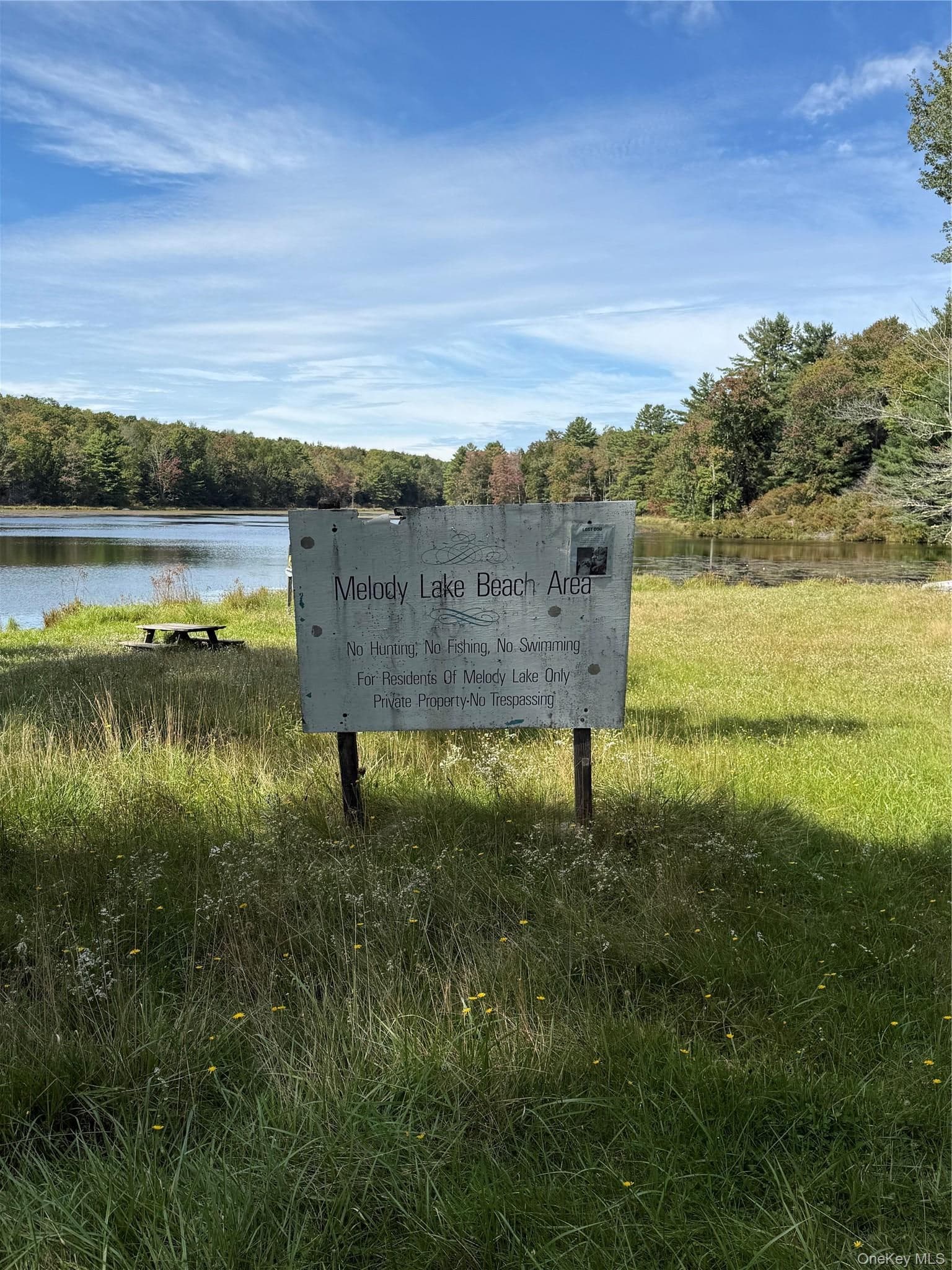 43 Melody Lake Drive thumbnail 19