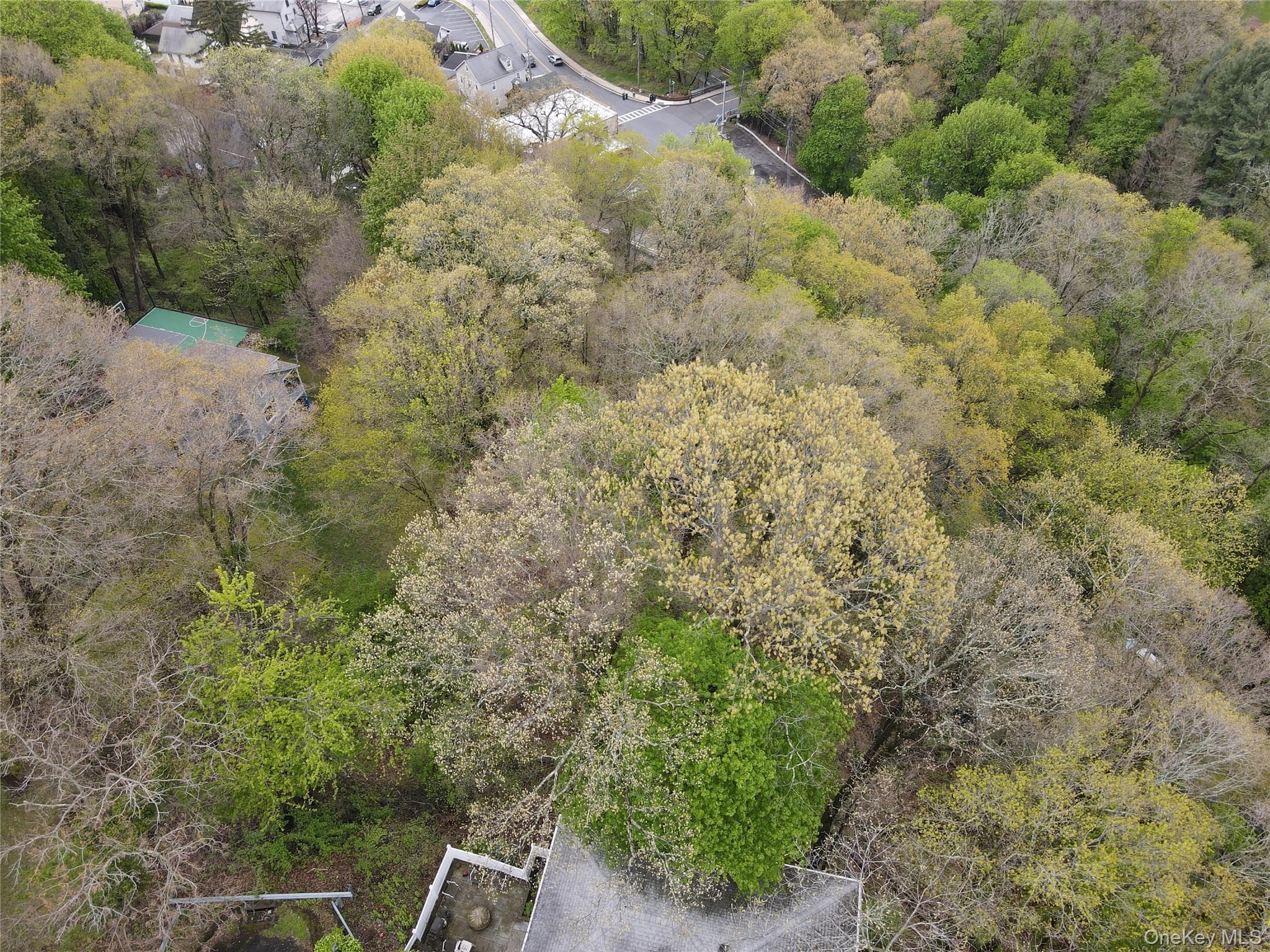 18 Columbus Avenue thumbnail 5