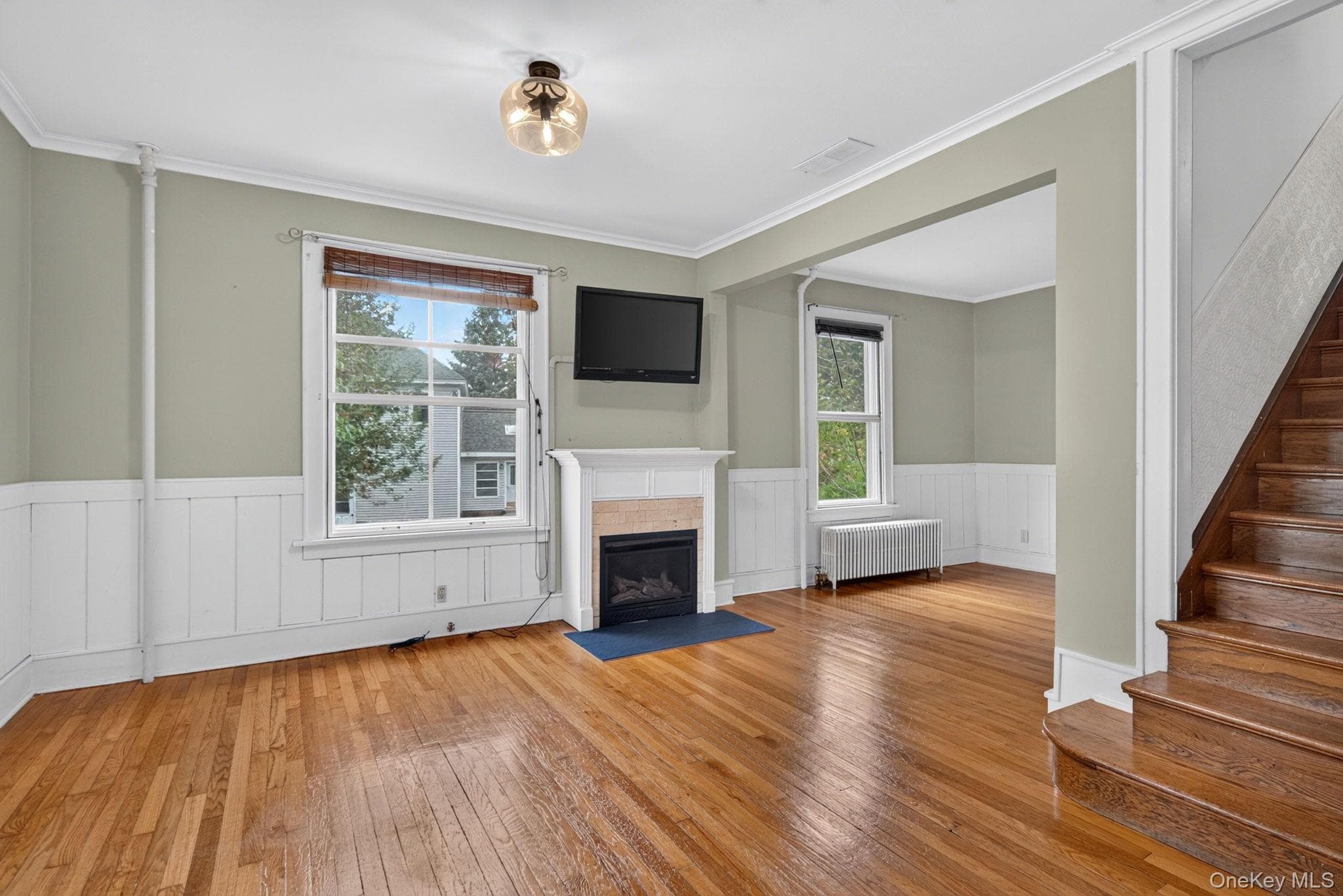 343 Alplaus Avenue thumbnail 18