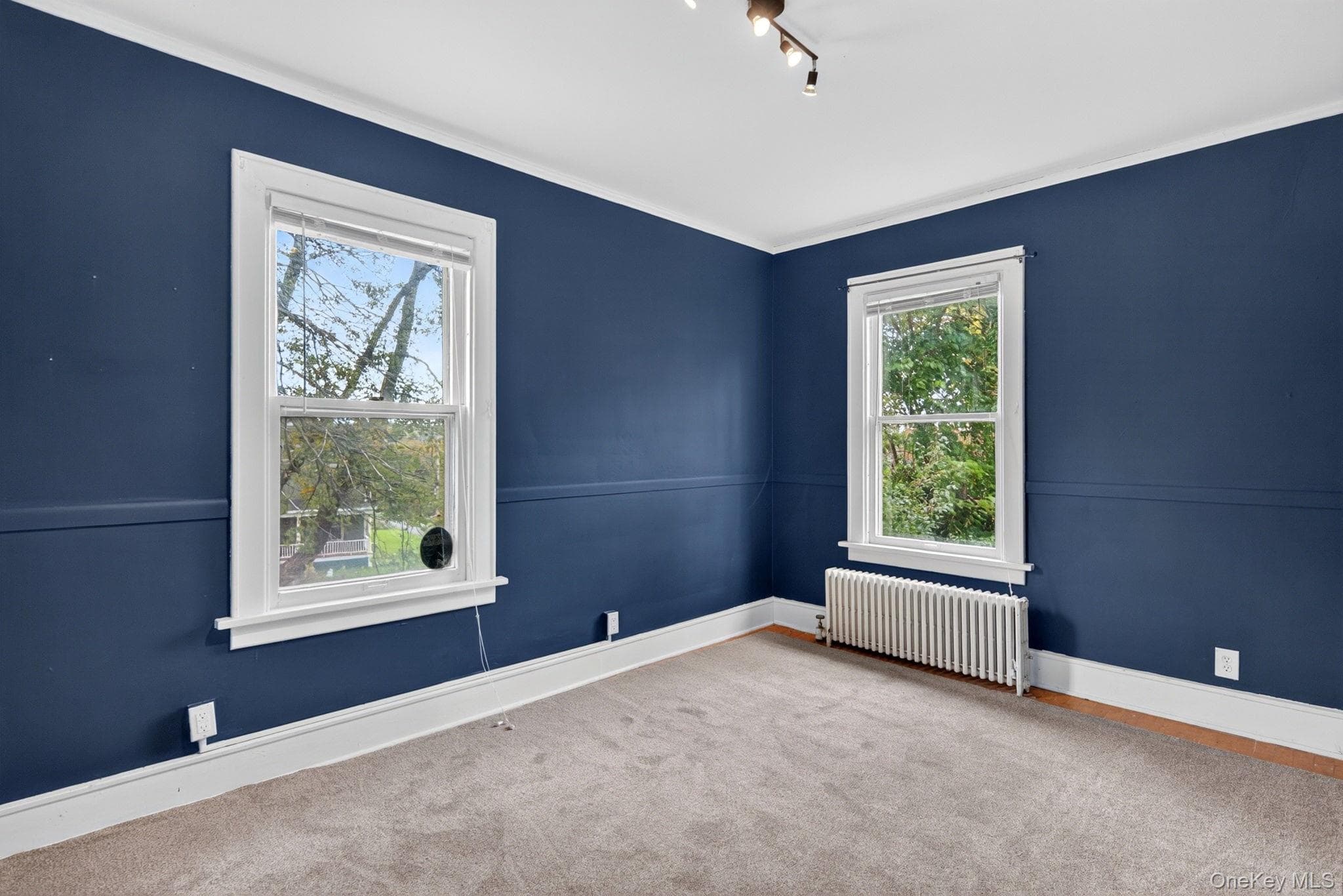 343 Alplaus Avenue thumbnail 22