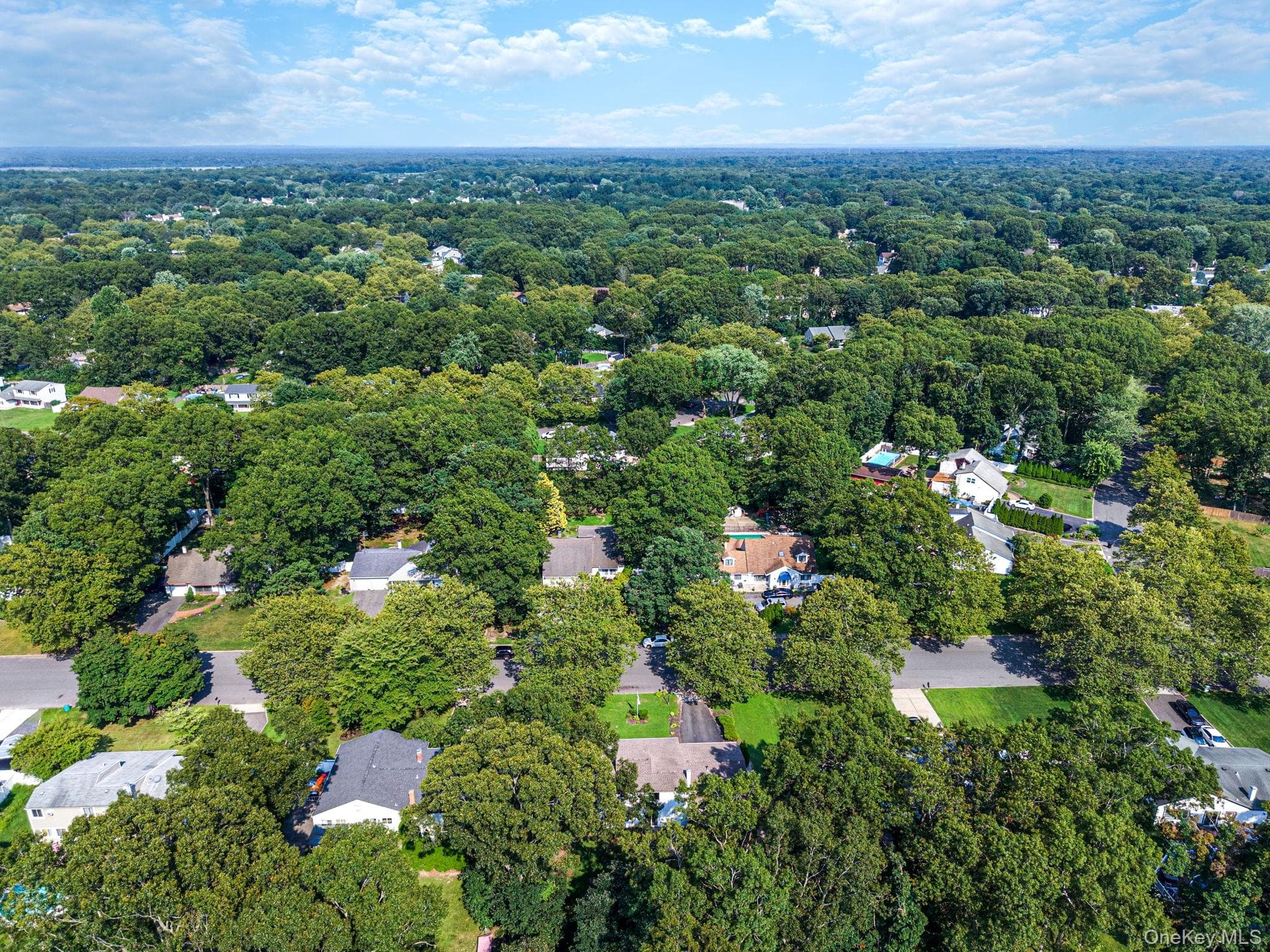 151 Sequoia Drive thumbnail 28