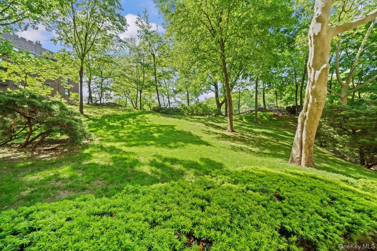 5500 Fieldston Road Unit: 6FF thumbnail 22