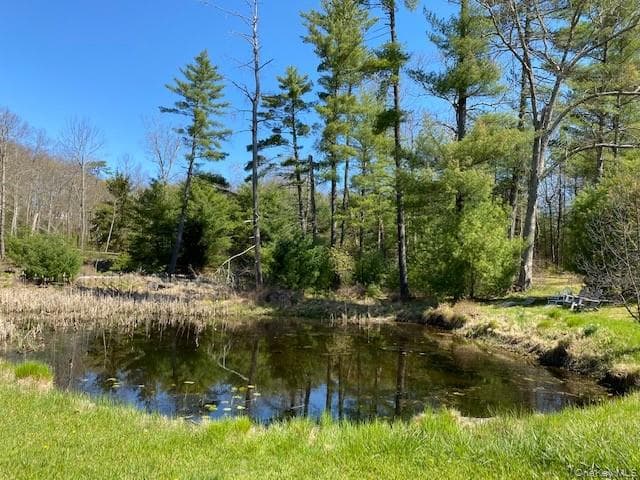 592 Proctor Road thumbnail 7