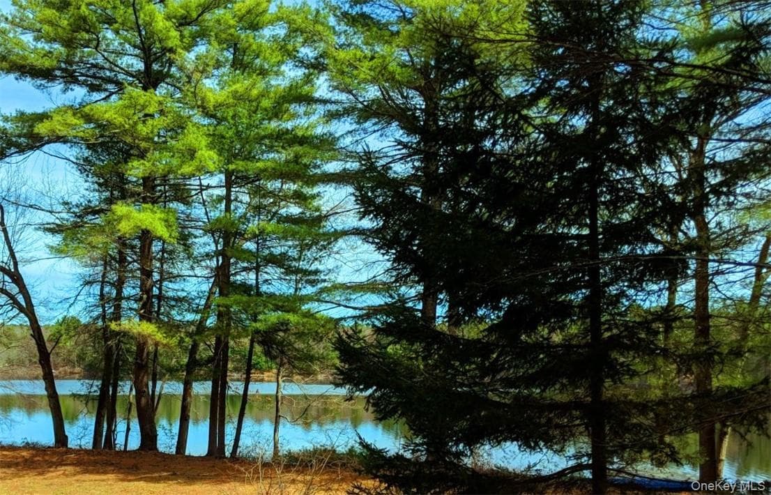 592 Proctor Road thumbnail 3