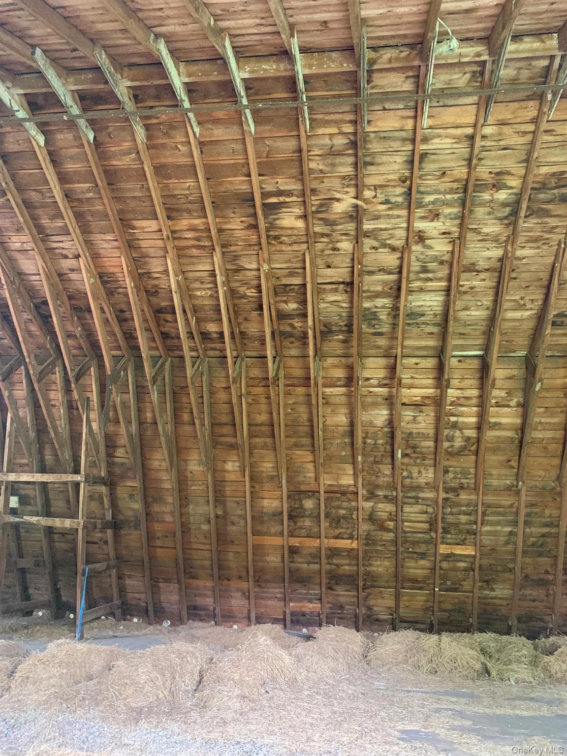 151 Homan Road thumbnail 9