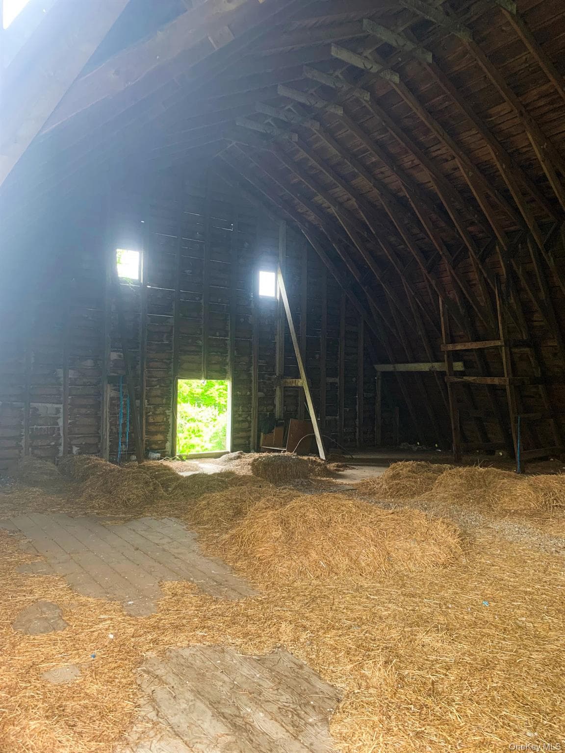 151 Homan Road thumbnail 10