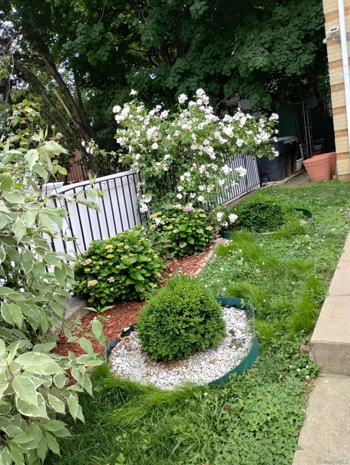 933 Tilden Street thumbnail 41