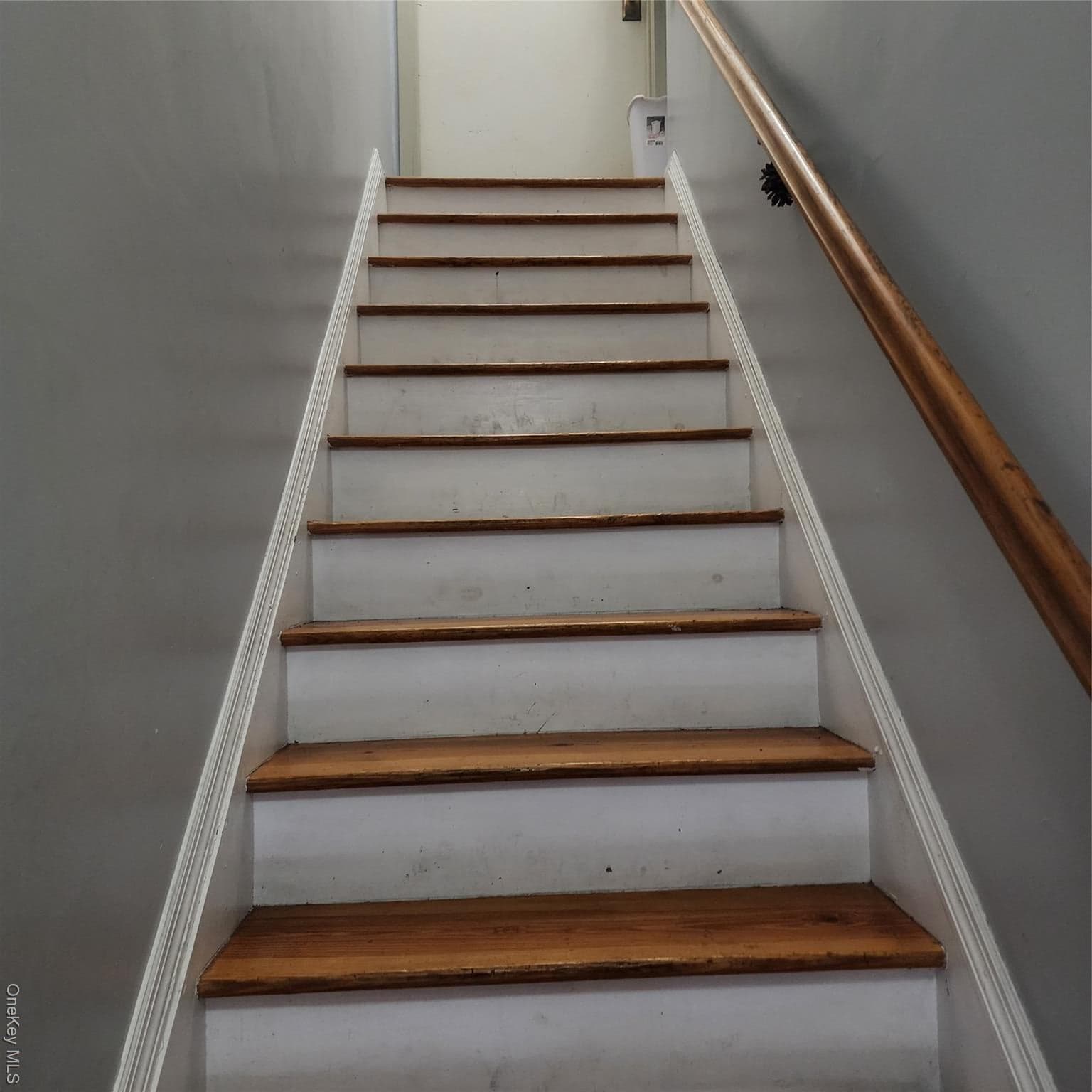 933 Tilden Street thumbnail 30