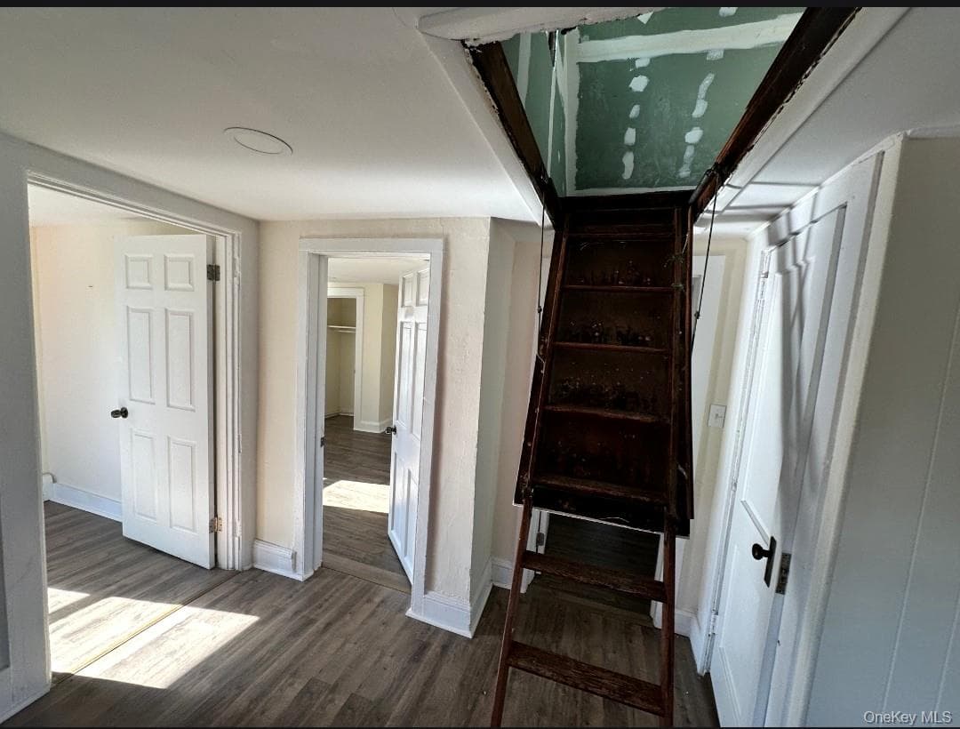 33 E Catherine Street thumbnail 30