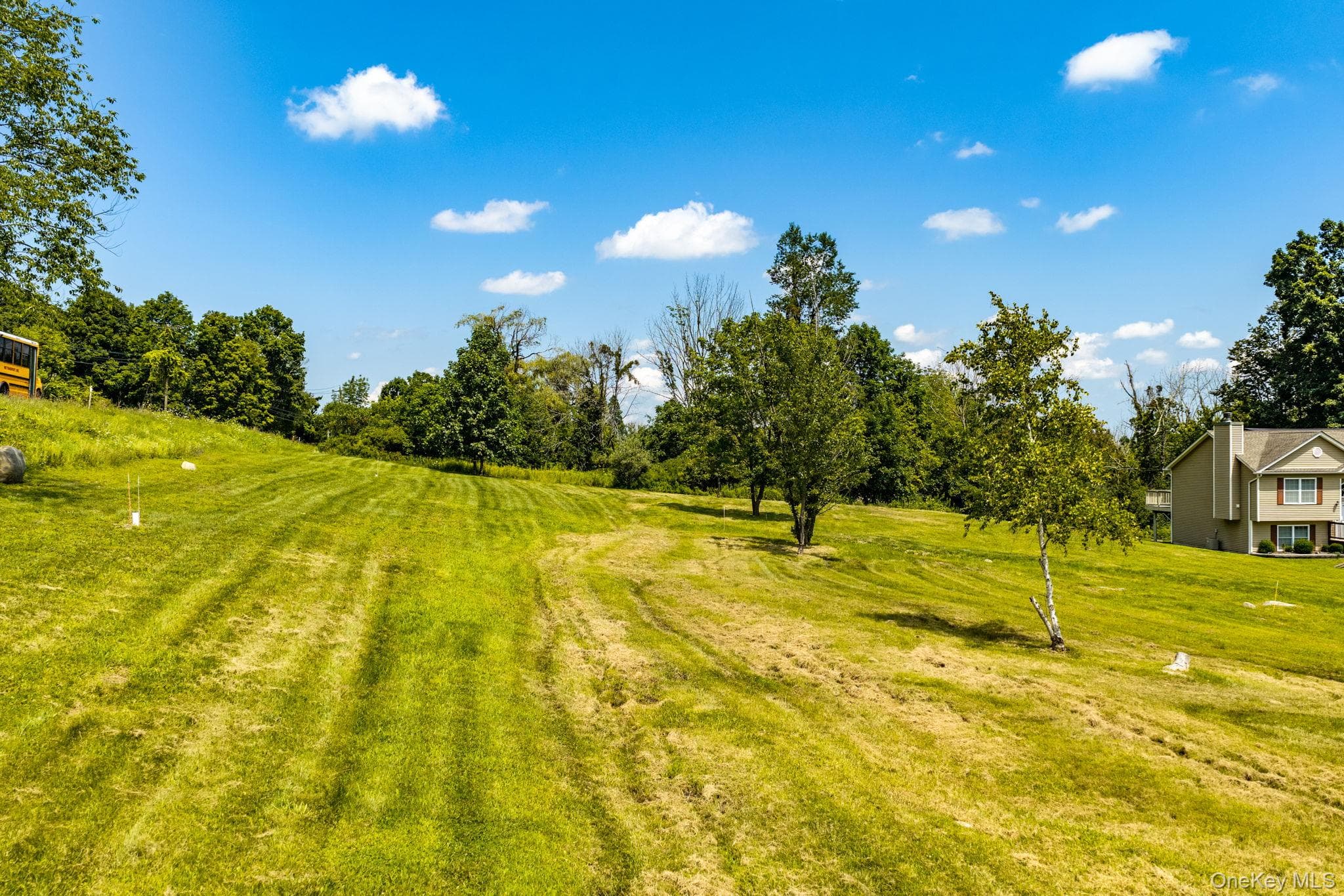 236 Springbrook Road thumbnail 42