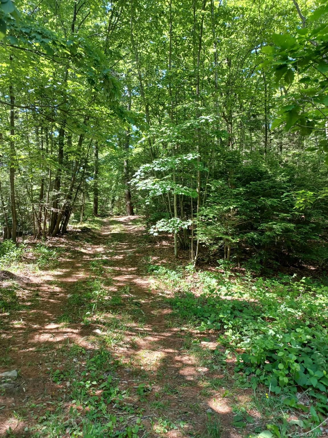 Bramertown Road thumbnail 7