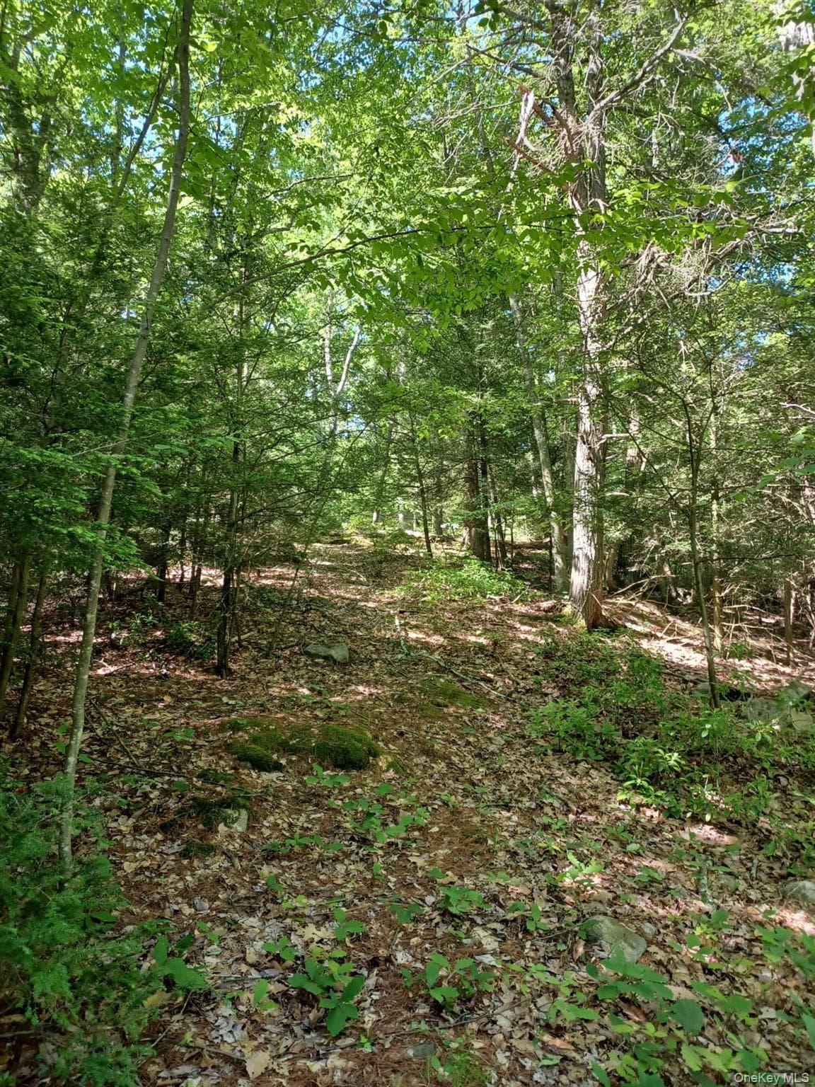 Bramertown Road thumbnail 8