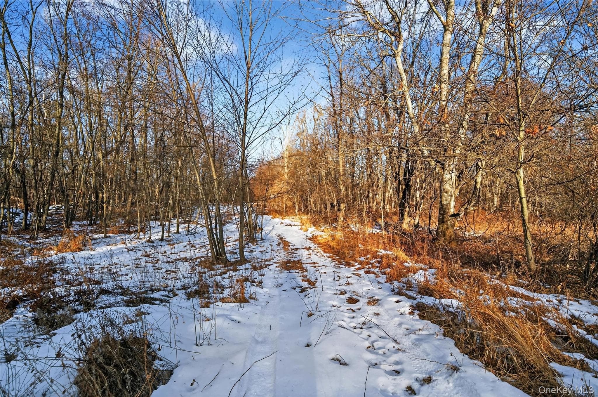 TBD Eatontown Road thumbnail 8