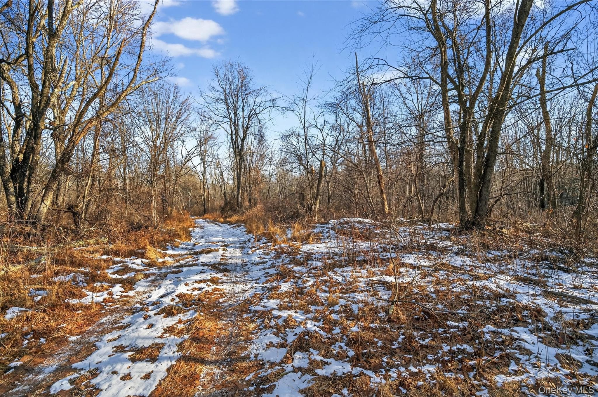 TBD Eatontown Road thumbnail 7