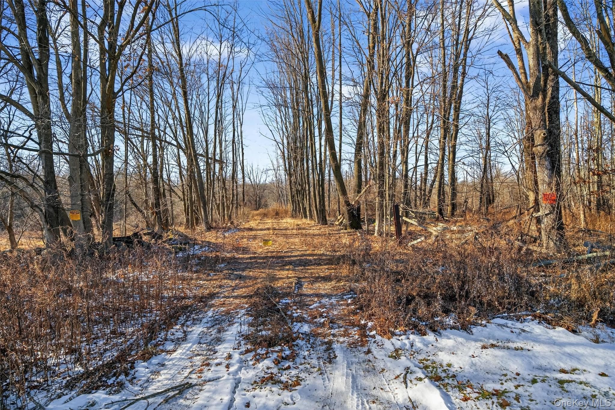 TBD Eatontown Road thumbnail 2
