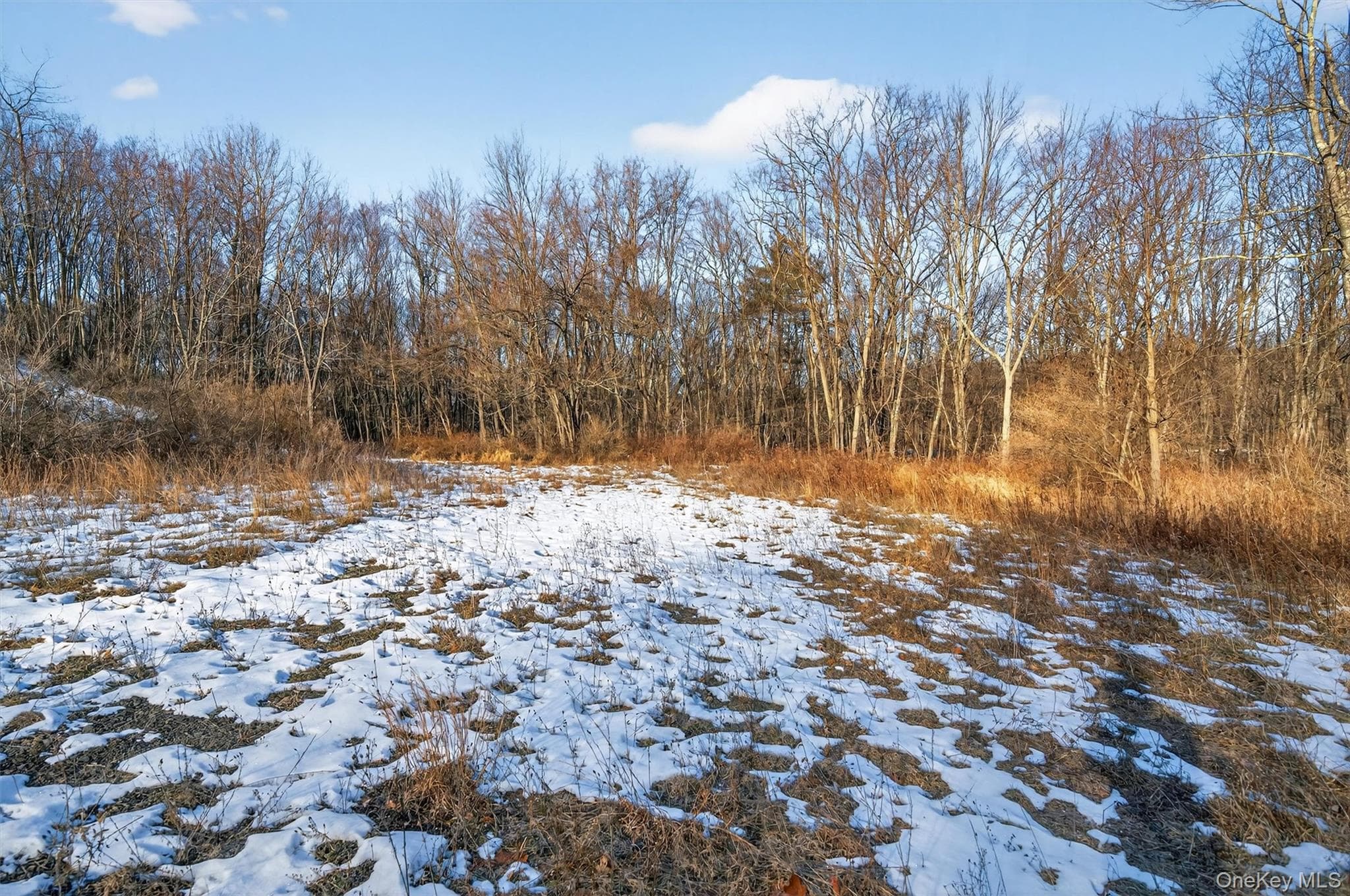TBD Eatontown Road thumbnail 21