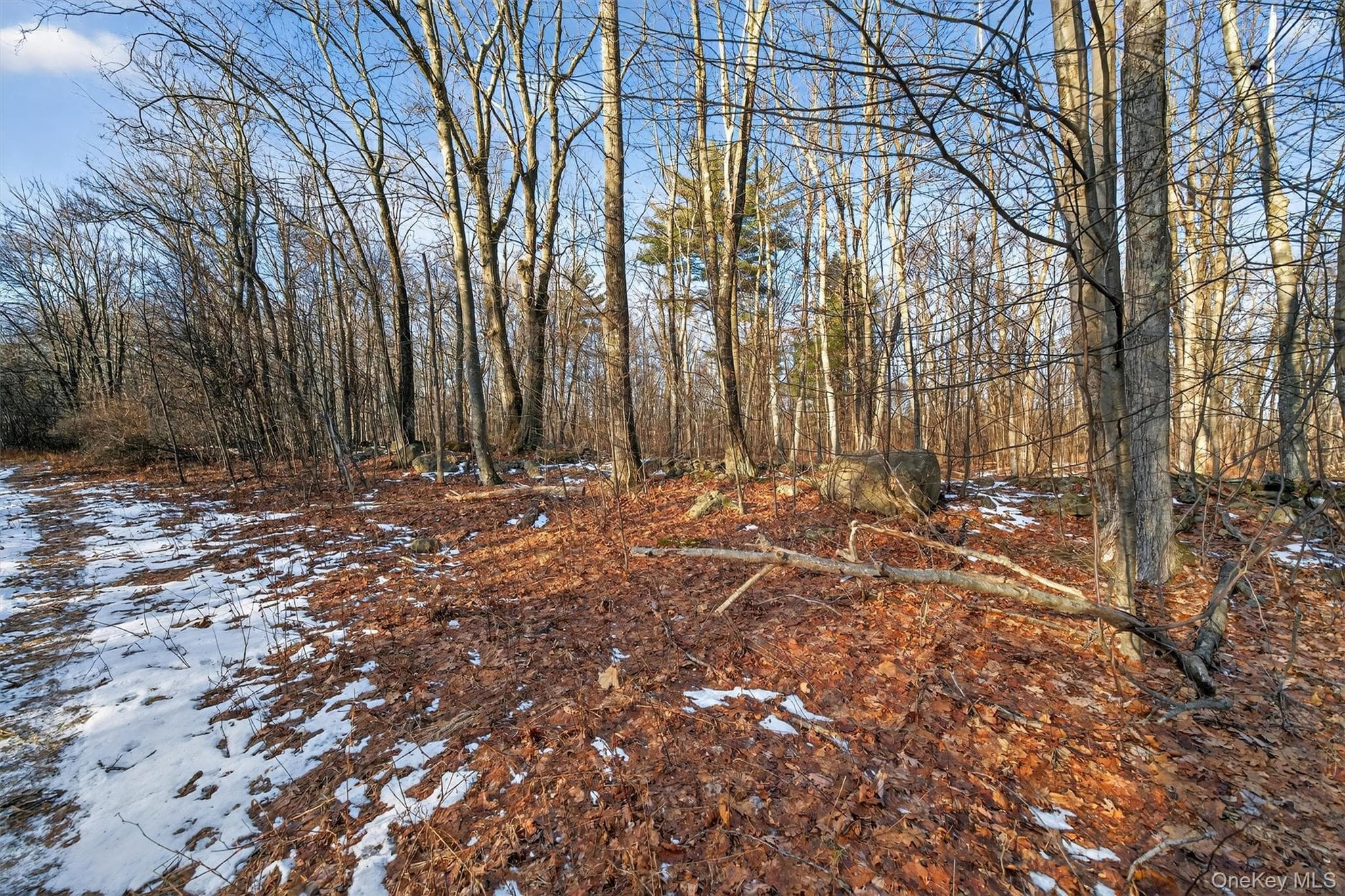 TBD Eatontown Road thumbnail 20