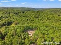 Lot 5 A S White Rock Road thumbnail 19