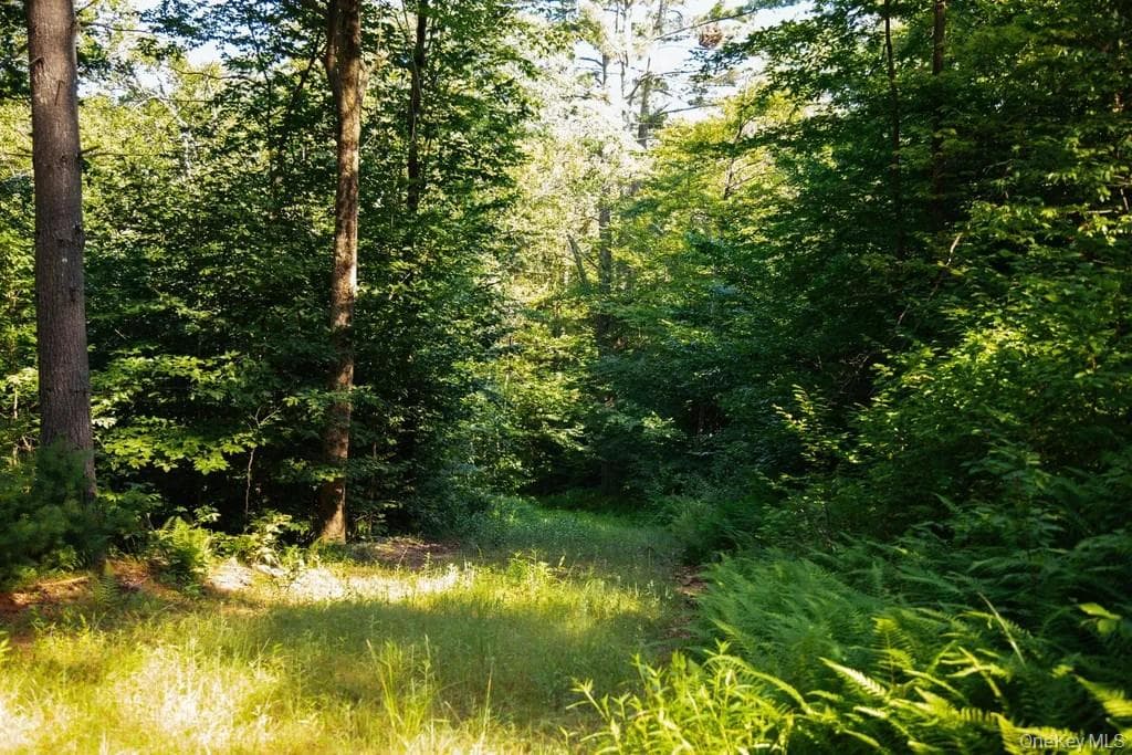 Lot 1 Woodstone Trail thumbnail 4