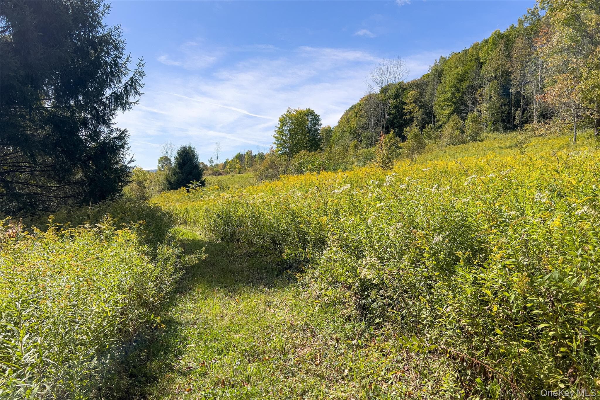 1685 Dry Brook Road thumbnail 48