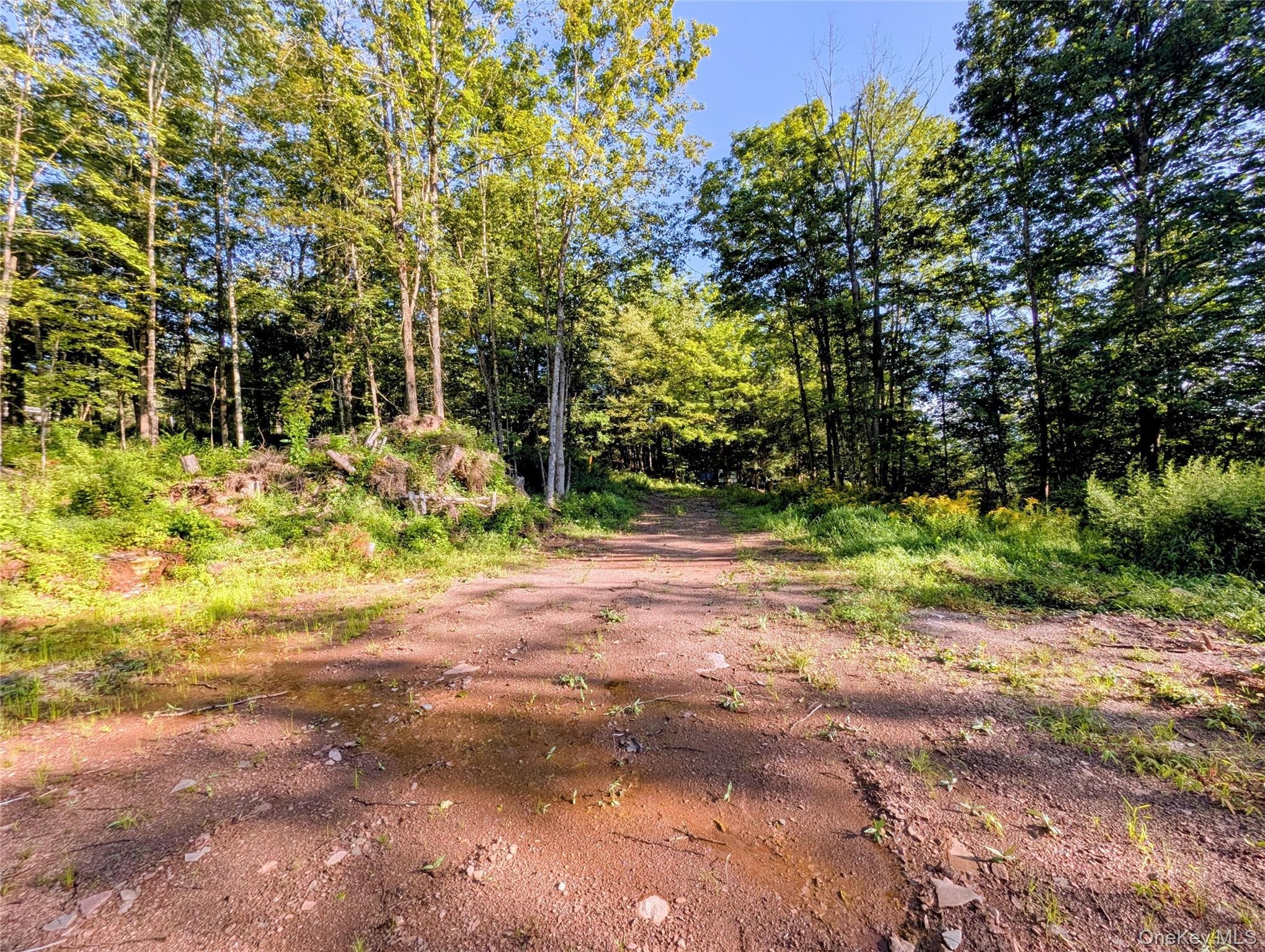 Hurd Road thumbnail 19