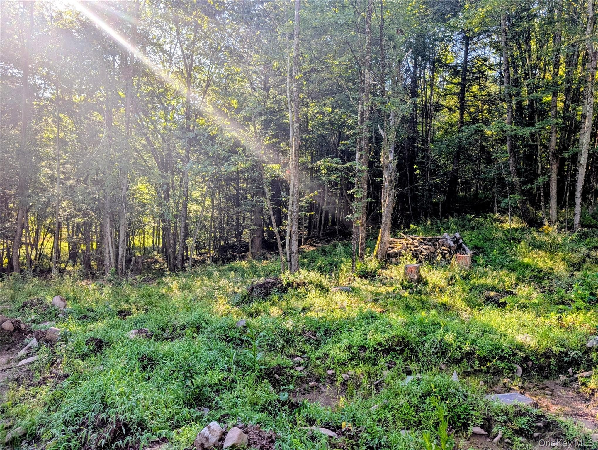 Hurd Road thumbnail 9