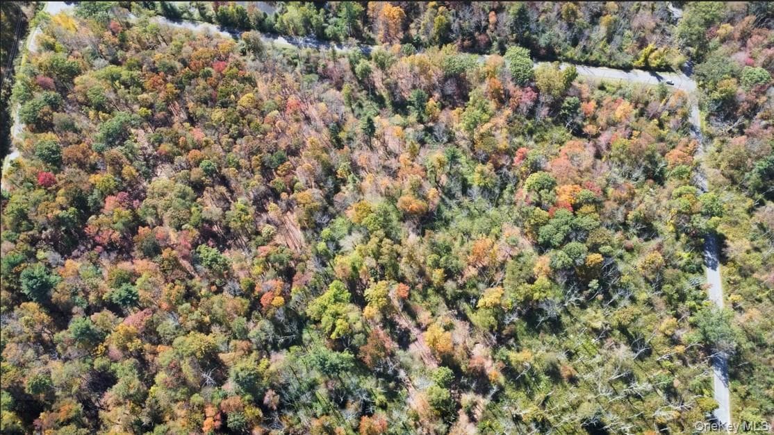 TBD (East Lot) W Hill Road thumbnail 6