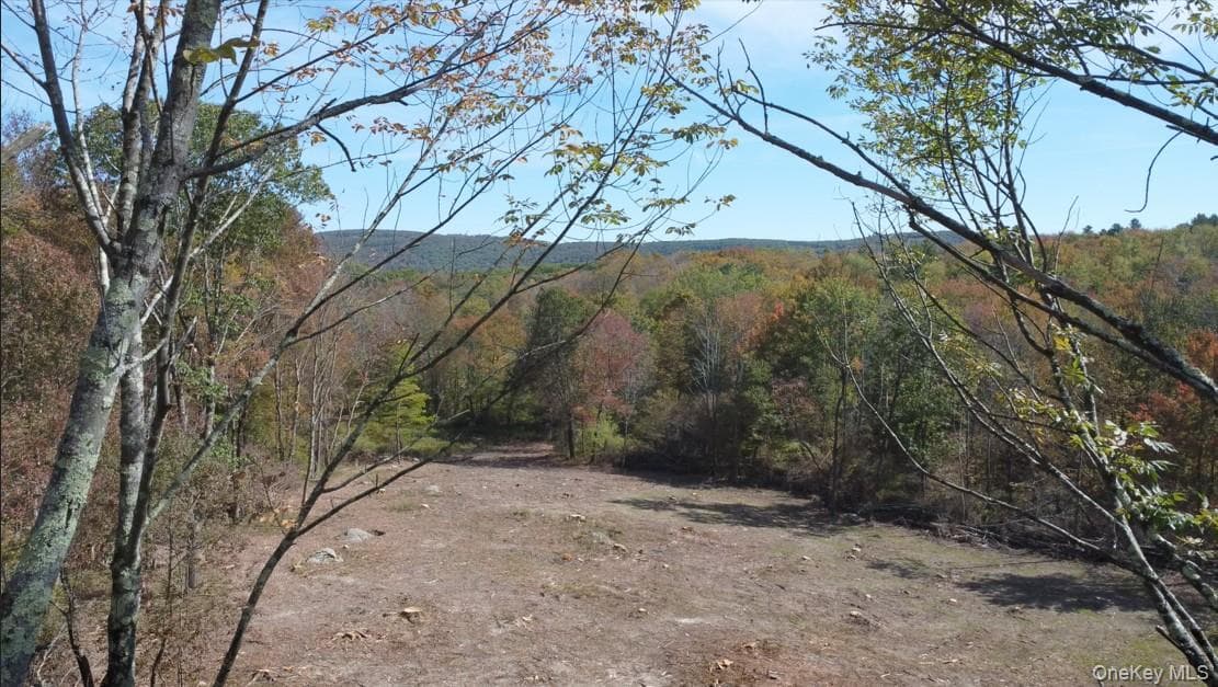TBD (East Lot) W Hill Road thumbnail 4
