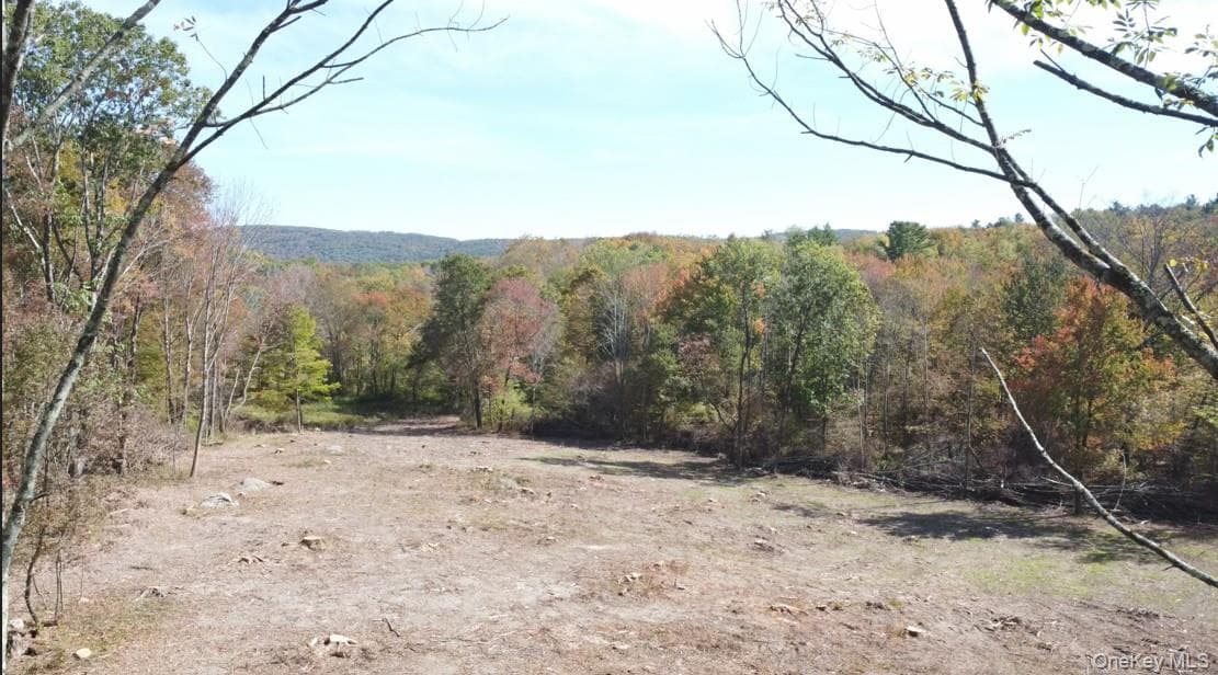 TBD (East Lot) W Hill Road thumbnail 2