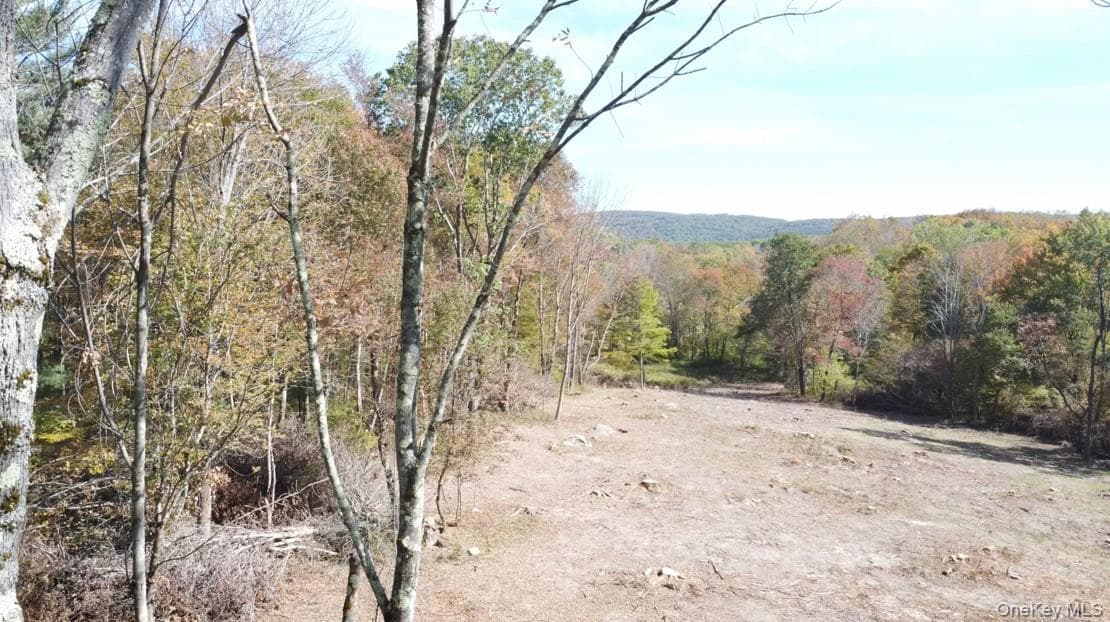 TBD (East Lot) W Hill Road thumbnail 3