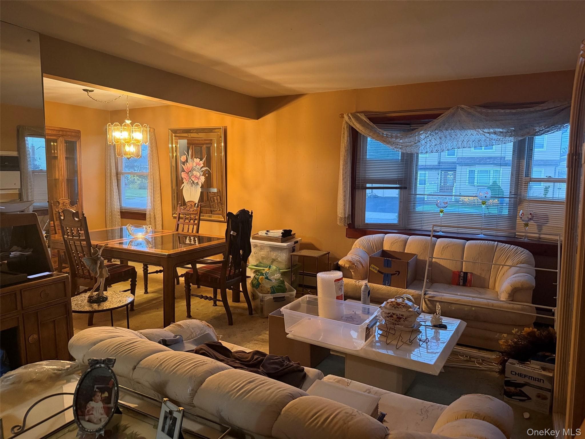58 Curtis Place thumbnail 4