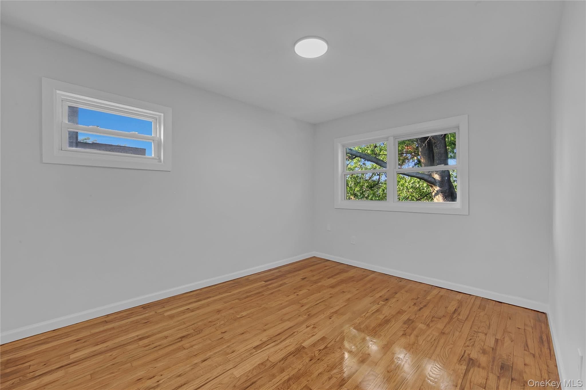 931 E 232nd Street thumbnail 10