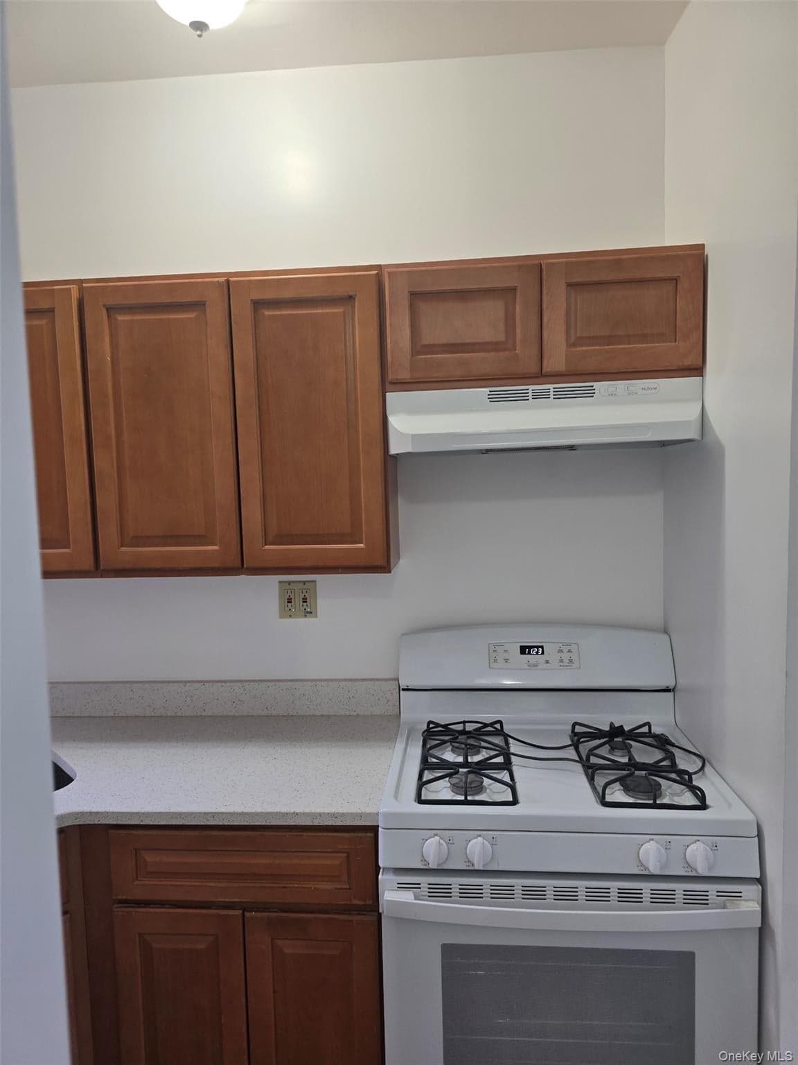 847 Utica Avenue thumbnail 4