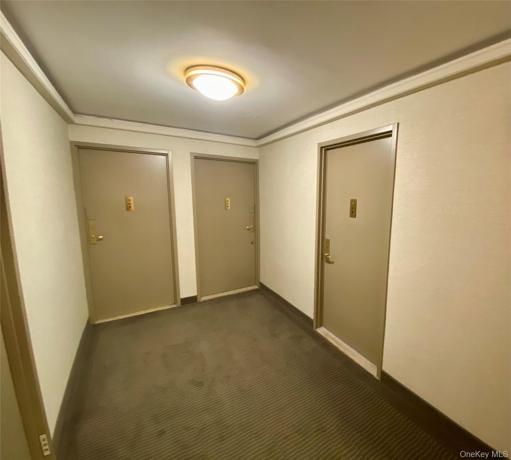 372 Central Park Unit: 20L thumbnail 27