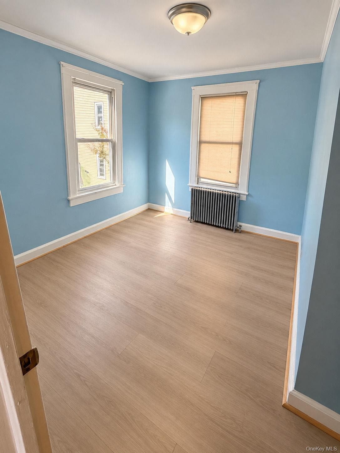690 E 240th Street thumbnail 6