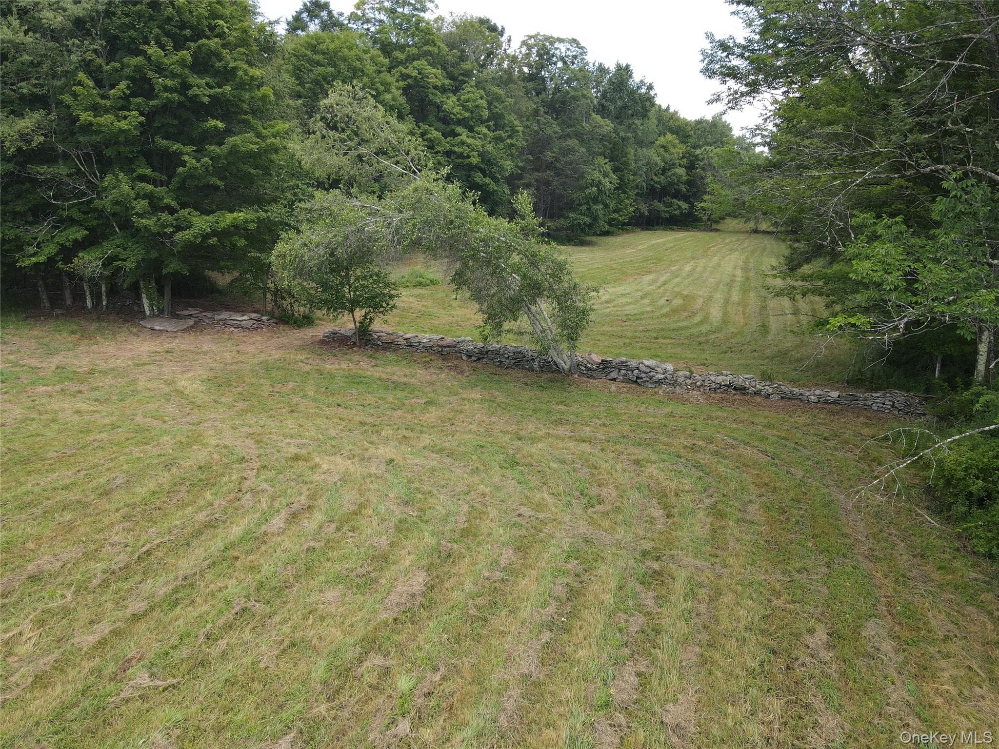 1103 County Road 114 thumbnail 24