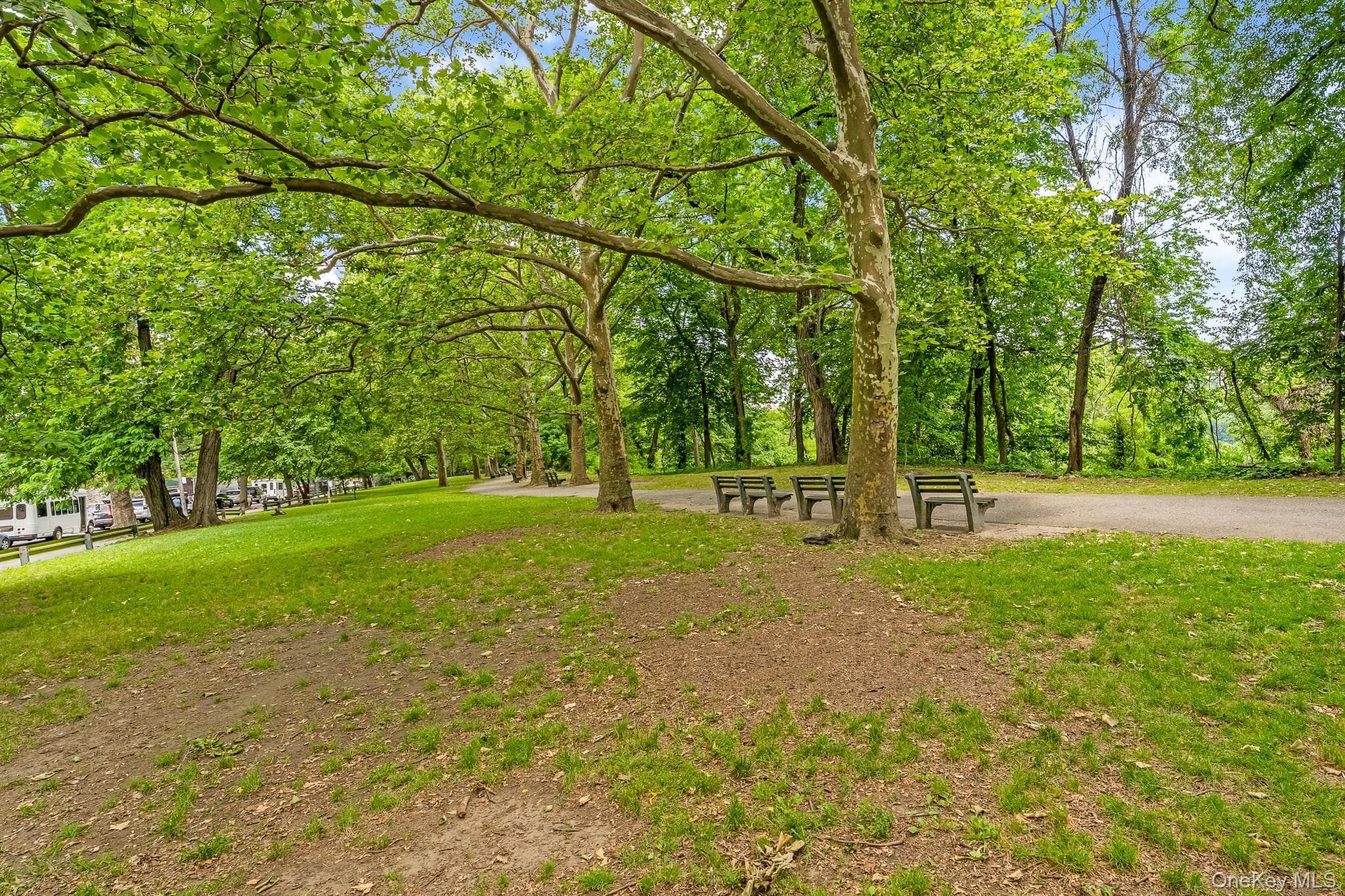 505 W 183rd Street thumbnail 6