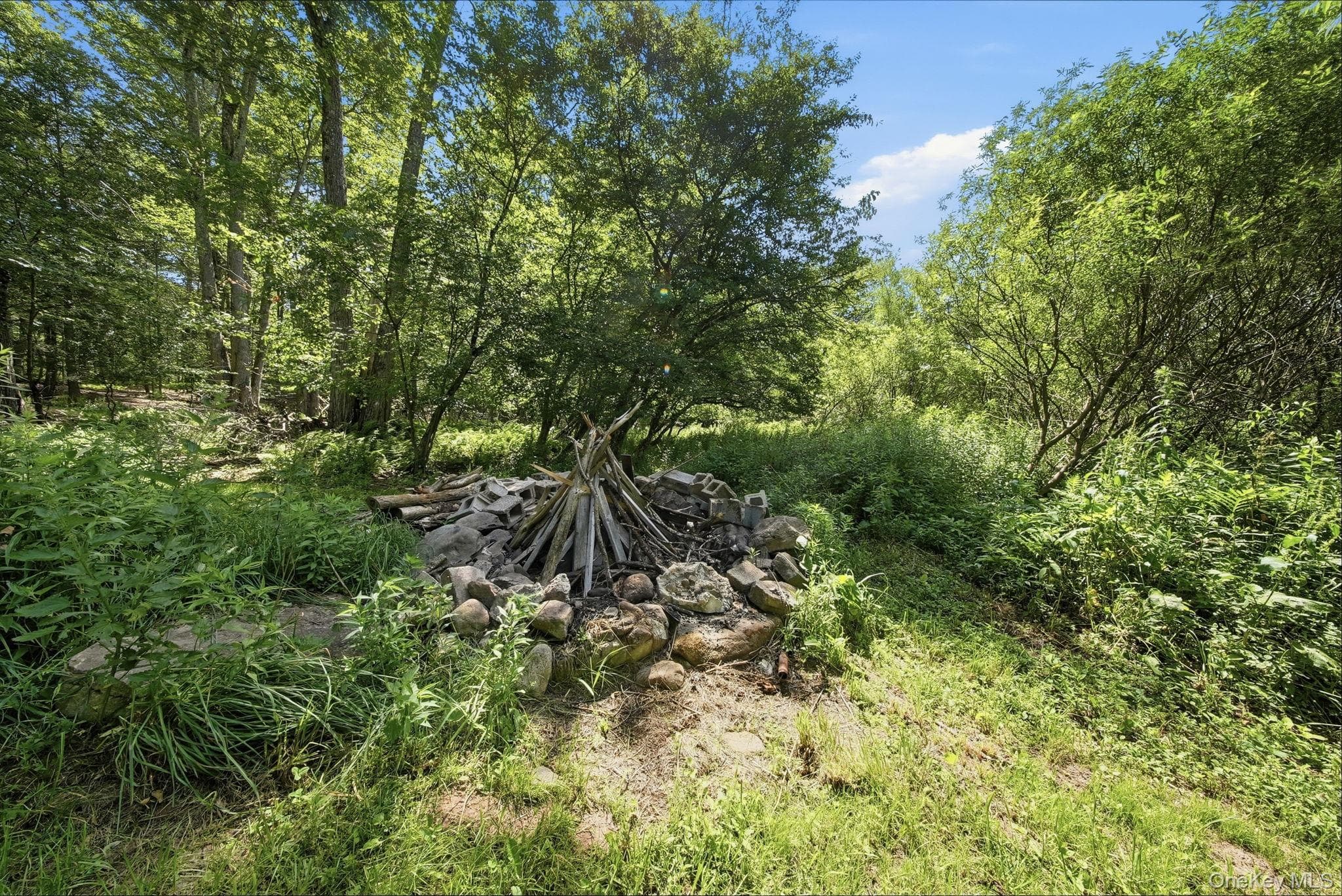 64 & 68 Mineral Springs Road thumbnail 28